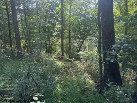 0 Hagans Road Rivesville WV 26588
