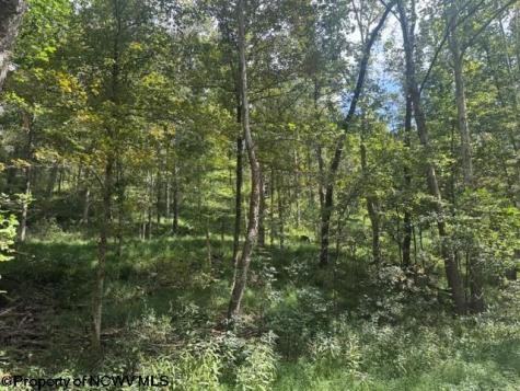 0 Hagans Road Rivesville WV 26588