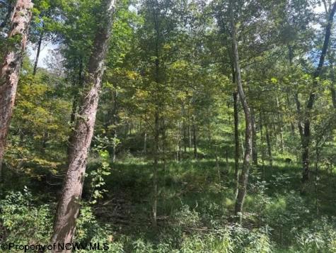 0 Hagans Road Rivesville WV 26588