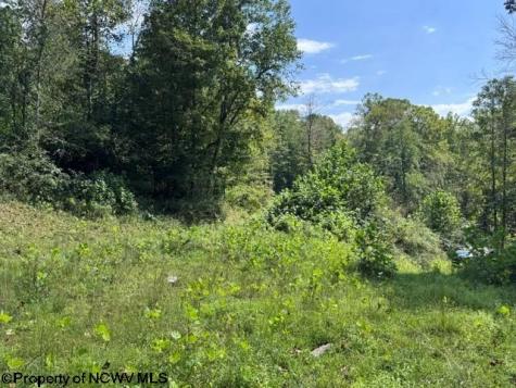 0 Hagans Road Rivesville WV 26588