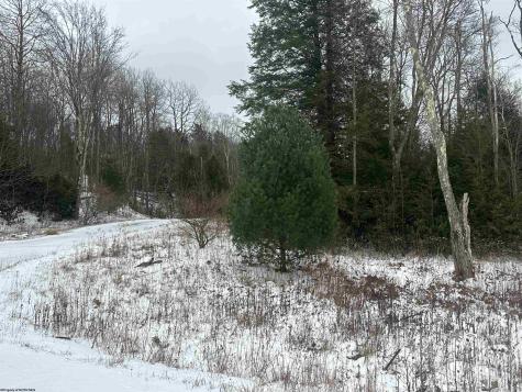 85 Gondola Court Davis WV 26260