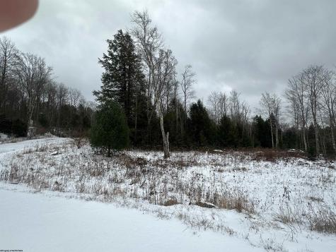 85 Gondola Court Davis WV 26260