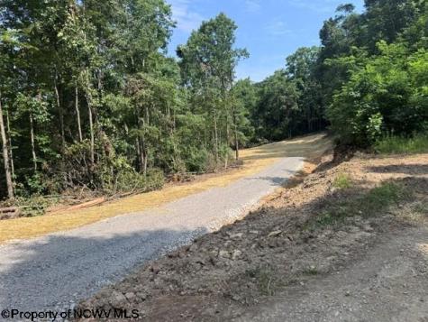 0 Locust Grove Road Kasson WV 26405