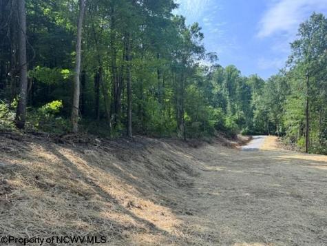 0 Locust Grove Road Kasson WV 26405
