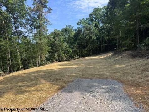 0 Locust Grove Road Kasson WV 26405
