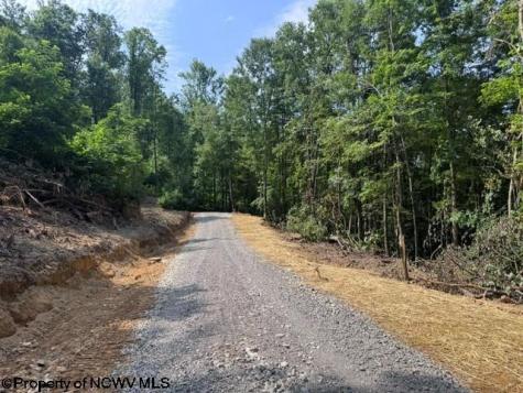 0 Locust Grove Road Kasson WV 26405