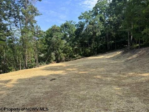 0 Locust Grove Road Kasson WV 26405