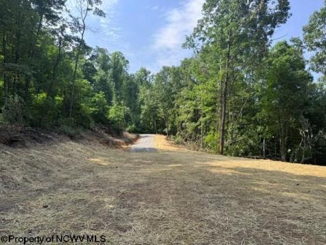 0 Locust Grove Road Kasson WV 26405