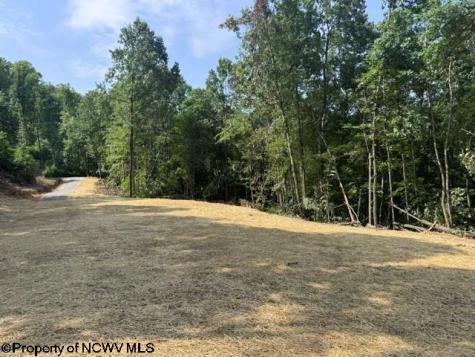 0 Locust Grove Road Kasson WV 26405