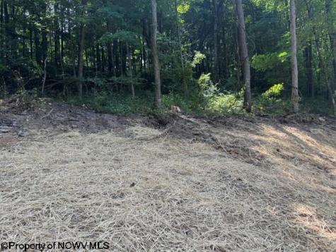 0 Locust Grove Road Kasson WV 26405