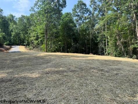 0 Locust Grove Road Kasson WV 26405