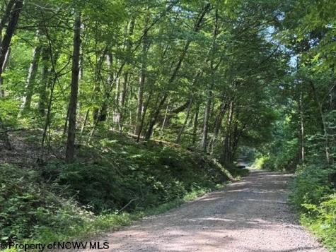 0 Locust Grove Road Kasson WV 26405