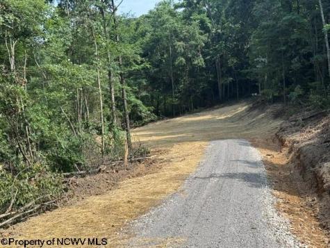 0 Locust Grove Road Kasson WV 26405