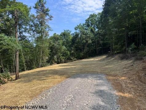 0 Locust Grove Road Kasson WV 26405