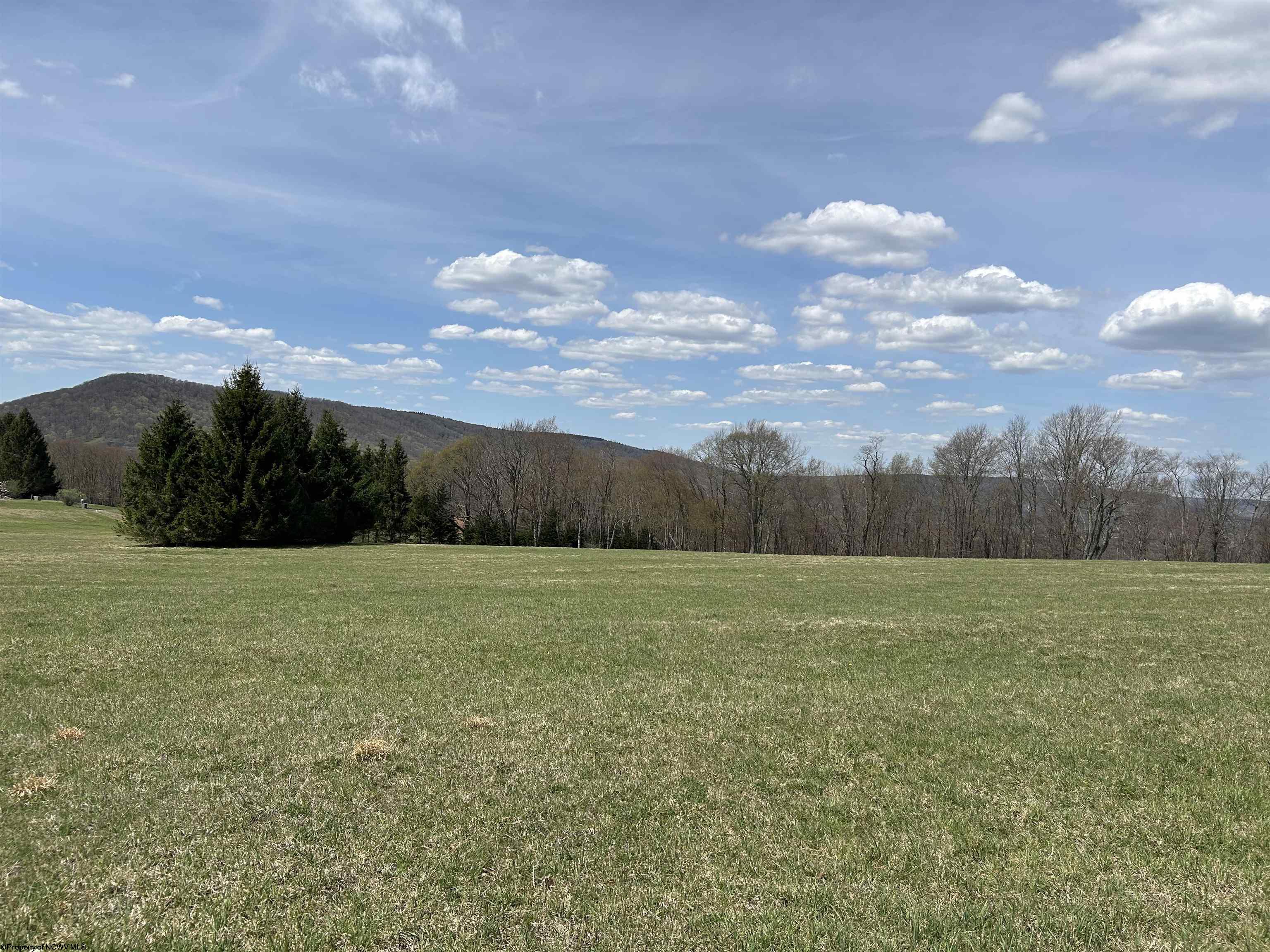 3 Pointy Knob Road Davis WV 26260