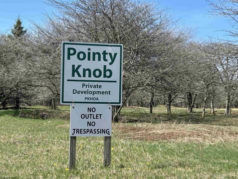3 Pointy Knob Road Davis WV 26260