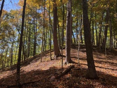 0 Channell Road Mill Creek WV 26280