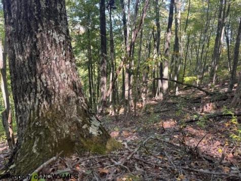 0 Channell Road Mill Creek WV 26280