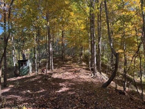 0 Channell Road Mill Creek WV 26280