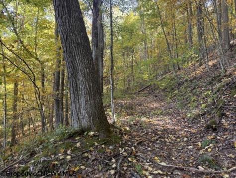 0 Channell Road Mill Creek WV 26280