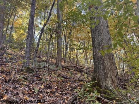 0 Channell Road Mill Creek WV 26280