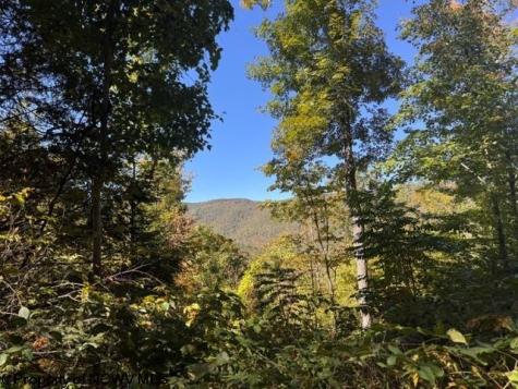 0 Channell Road Mill Creek WV 26280