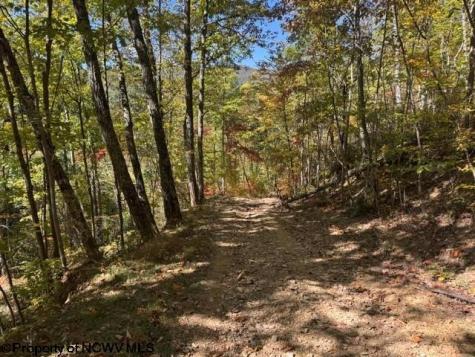 0 Channell Road Mill Creek WV 26280