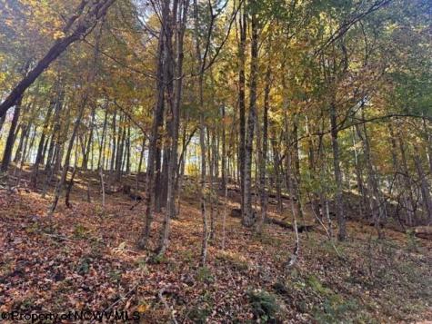 0 Channell Road Mill Creek WV 26280