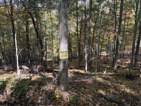 0 Channell Road Mill Creek WV 26280