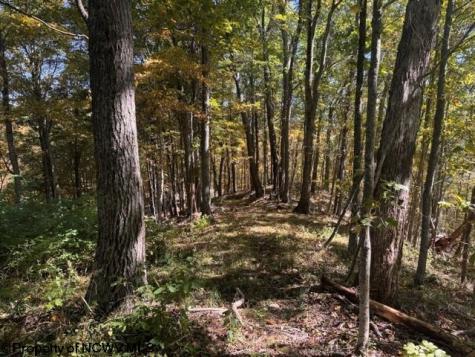 0 Channell Road Mill Creek WV 26280