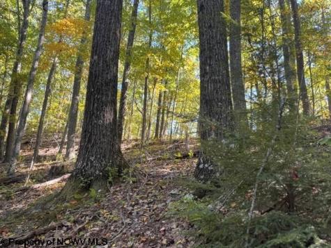 0 Channell Road Mill Creek WV 26280