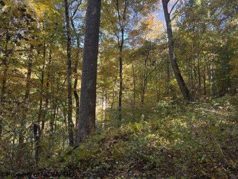 0 Channell Road Mill Creek WV 26280