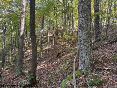 0 Channell Road Mill Creek WV 26280
