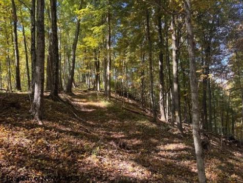 0 Channell Road Mill Creek WV 26280