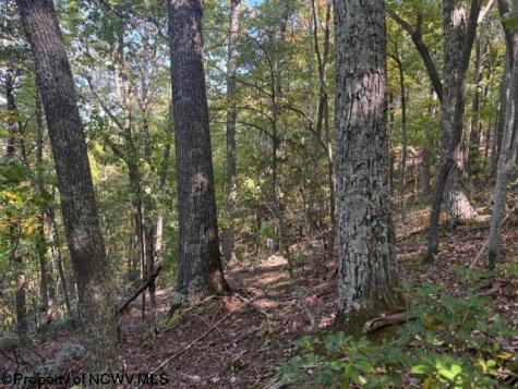0 Channell Road Mill Creek WV 26280