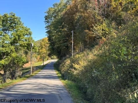0 Channell Road Mill Creek WV 26280