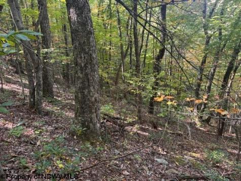 0 Channell Road Mill Creek WV 26280