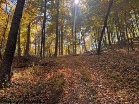 0 Channell Road Mill Creek WV 26280