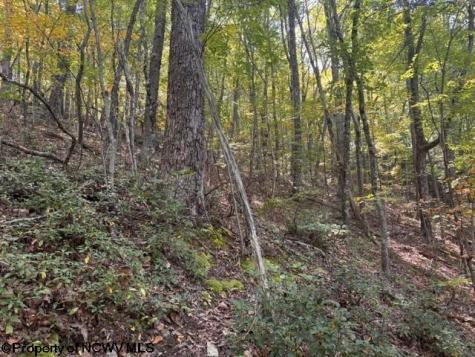 0 Channell Road Mill Creek WV 26280