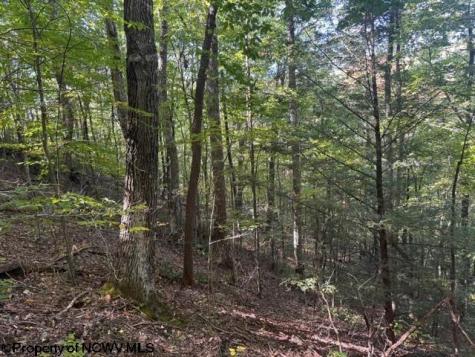 0 Channell Road Mill Creek WV 26280