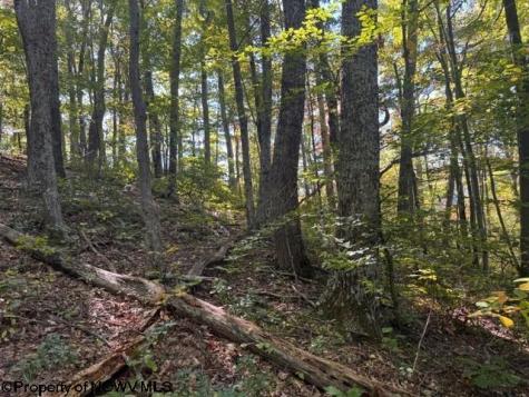 0 Channell Road Mill Creek WV 26280