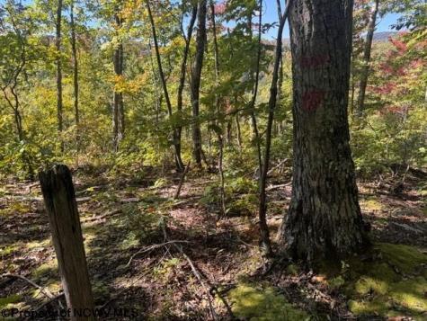 0 Channell Road Mill Creek WV 26280