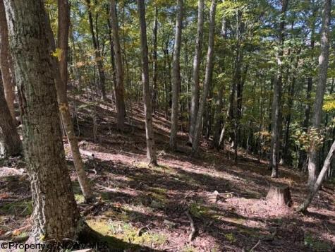 0 Channell Road Mill Creek WV 26280