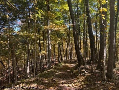 0 Channell Road Mill Creek WV 26280