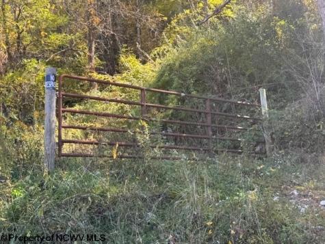 0 Channell Road Mill Creek WV 26280
