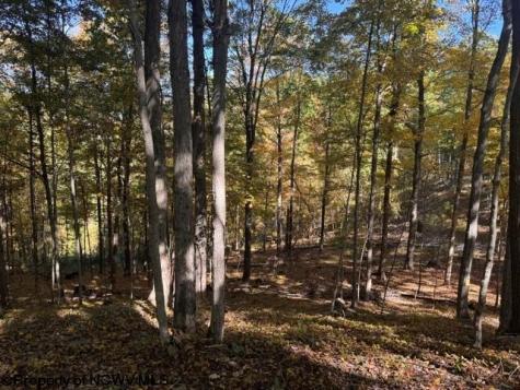 0 Channell Road Mill Creek WV 26280