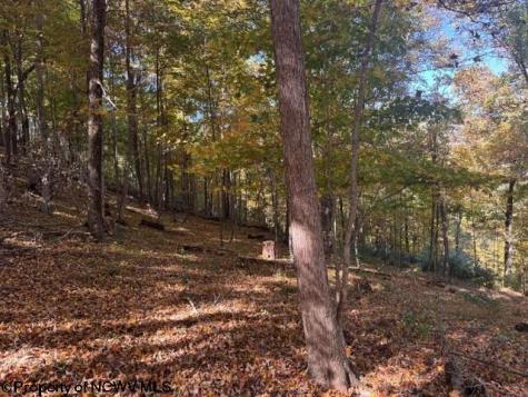 0 Channell Road Mill Creek WV 26280