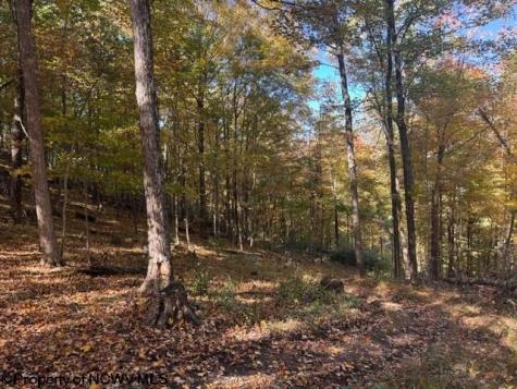 0 Channell Road Mill Creek WV 26280