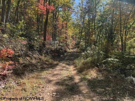 0 Channell Road Mill Creek WV 26280