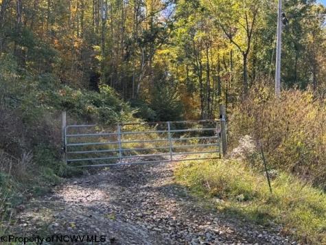 0 Channell Road Mill Creek WV 26280